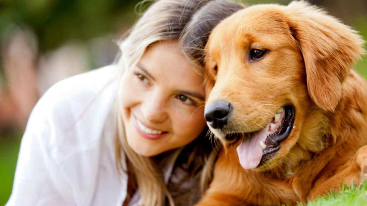 Ai un câine ca animal de companie? Cercetătorii au făcut o descoperire incredibilă despre asta