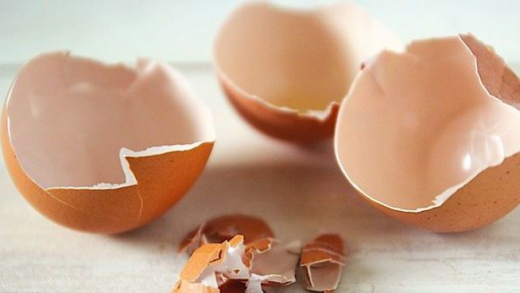 Cojile de ou, eficiente pentru calmarea arsurilor la stomac. Cum le foloseşti