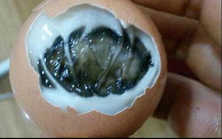Și-a fiert un ou cumpărat din magazin. Ceea ce a găsit în interiorul lui l-a dezgustat teribil