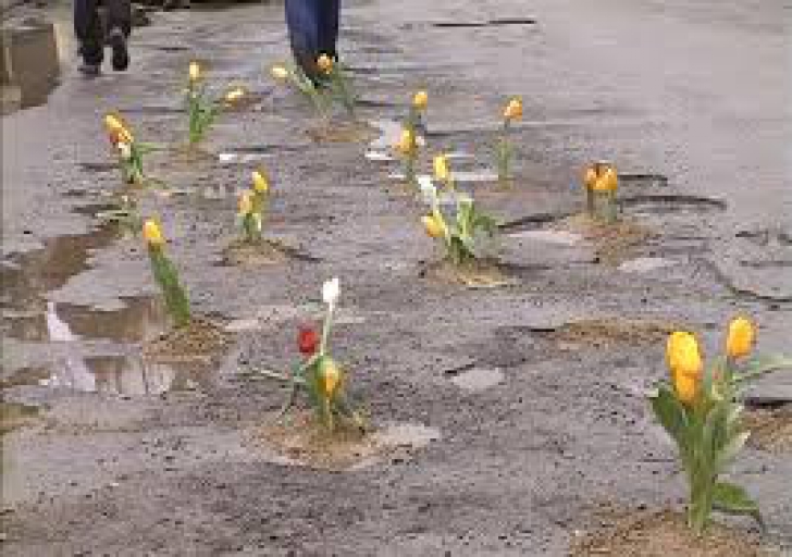 Protest inedit. Un primar din Vâlcea a plantat flori de primăvară în gropile unui drum județean