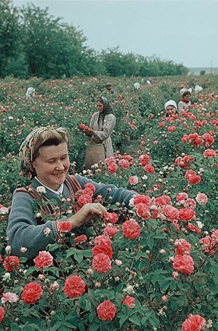 GALERIE FOTO. Ruşii "fericiţi şi liberi" în Epoca de Aur a URSS. Cum arată imaginile de atunci 