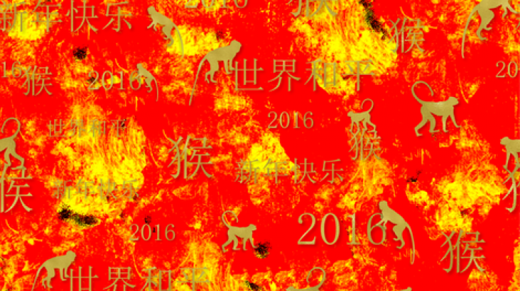 Anul Maimuței de Foc. Singura zodie care va avea succes pe toate planurile în 2016