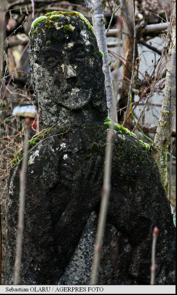 O misterioasă statuie a Fecioarei Maria, "ascunsă" în curtea unei gospodării din Sălaj