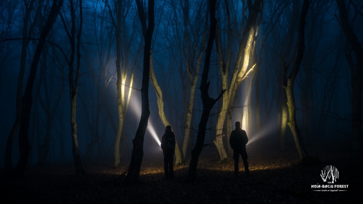Misterele paranormale din Pădurea Hoia-Baciu, subiect de film