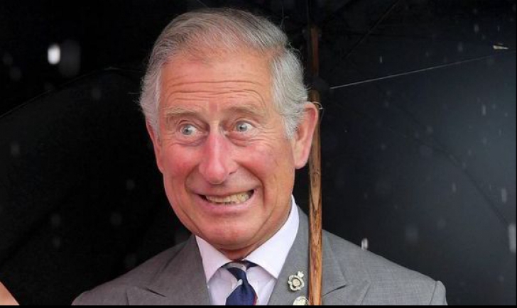 Pasiunea ascunsă a Prințului Charles. Îi aduce milioane de lire sterline