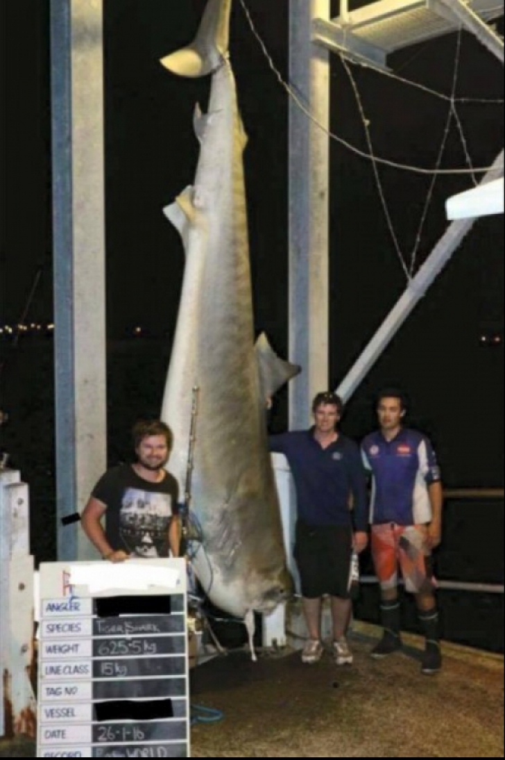 S-au lăudat că au prins cel mai mare rechin. Nu se așteptau să se întâmple asta după ce l-au pozat