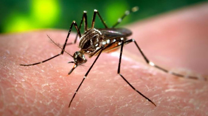 Noi descoperiri despre virusul Zika. Poate cauza şi o altă afecţiune cumplită