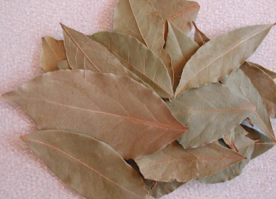 9 lucruri pe care le poţi face cu câteva frunze de dafin. Cum îţi pot salva viaţa