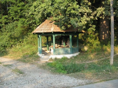 Cel mai vechi sat din România a supravieţuit de pe vremea dacilor. Imagini cu aer de poveste!