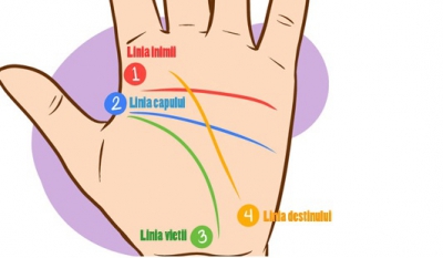 Priveşte cu atenţie LINIILE pe care le ai &icirc;n palmă! Uite cum te trădează fără să ştii