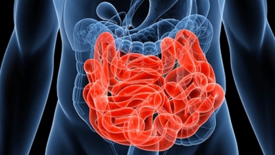 Ce este "creierul din intestin" şi cum &icirc;ţi afectează corpul