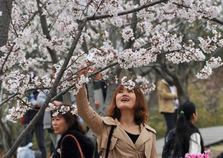 Cele mai penibile fotografii ale primăverii: au fost în stare de orice pentru un selfie!