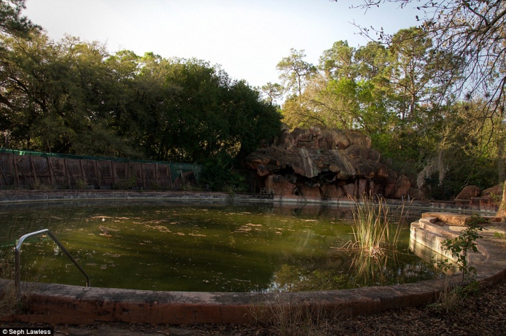 Disney Park abandonat