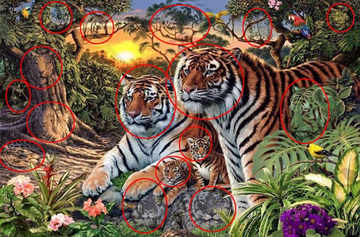 Testul la care puţini reuşesc să răspundă corect! Câţi tigri vezi în imagine?