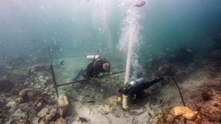 Făcea scufundări când a găsit o corabie veche de 500 de ani. A cercetat-o cu atenție! S-a cutremurat