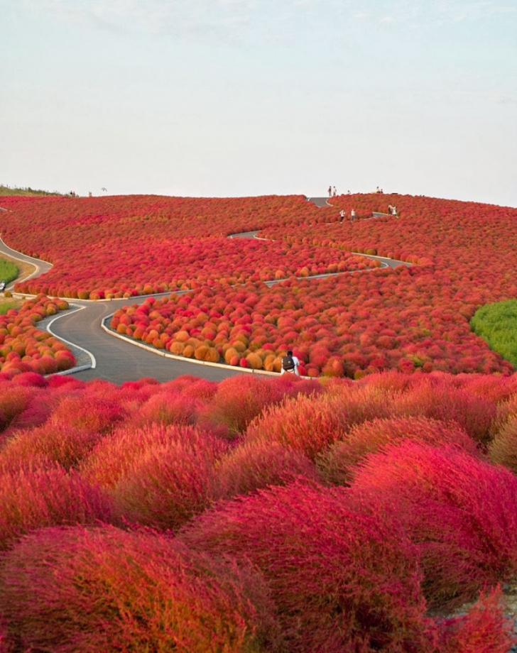 Cele mai colorate locuri de pe pământ, create de Mama Natură! Imaginile sunt incredibile