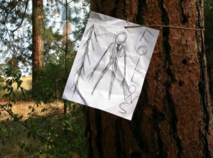 ŞOC! Mergea prin pădure spre casă. A găsit mesaje ÎNFIORĂTOARE pe copaci. Unde l-au condus