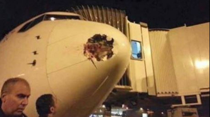 Accident îngrozitor de avion. Cum arată acesta după ce a fost lovit de o pasăre