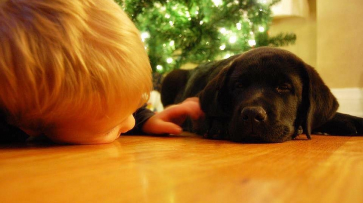 Mirosul câinelui i-a salvat viața! Cum a ocolit moartea un copil de șapte ani care suferă de diabet 