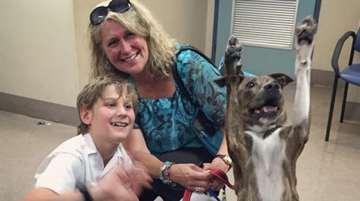 Reacția incredibilă a unui câine după ce a fost adoptat. Imaginea, virală pe internet 