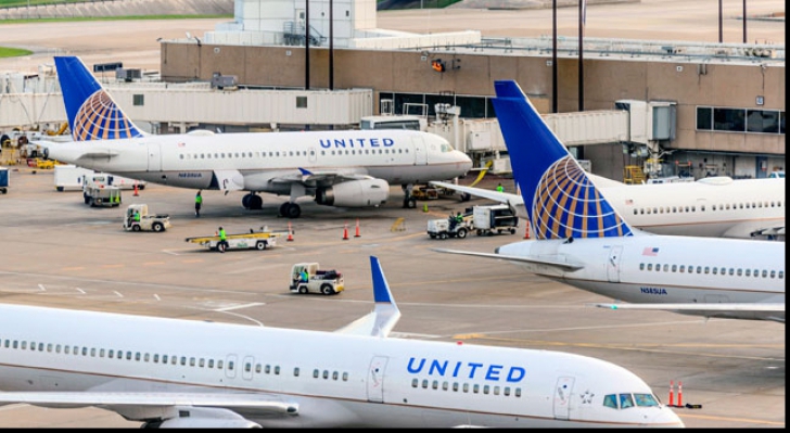 Un avion de linie a aterizat de urgență după ce s-a ,,ciocnit'' cu o pasăre