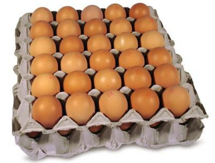 NU aruncaţi cofrajele de ouă după ce le goliţi! Care este utilitatea lor când rămân goale