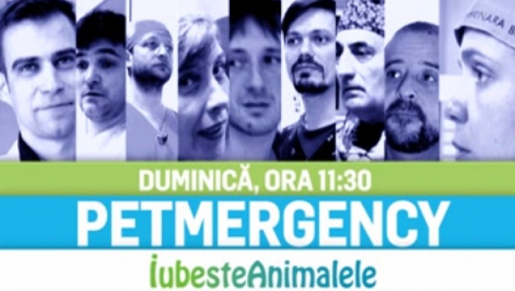 Petmergency – un reality autentic pe Realitatea Tv! Din 6 martie!