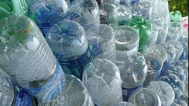 Descoperire științifică majoră în Japonia: o bacterie care ''mănâncă'' plasticul 