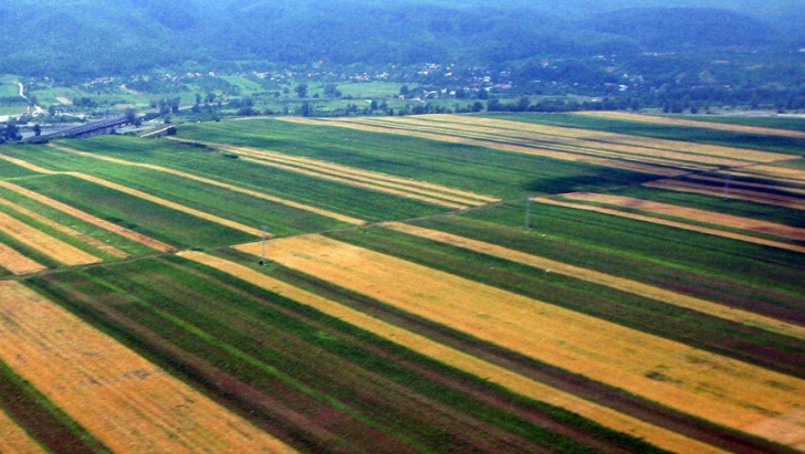 Europarlamentar: Vânzarea terenurilor agricole, o amenințare la adresa securității României!
