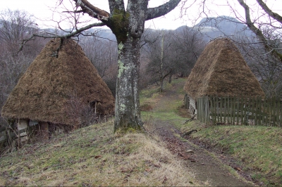 Românii, cei mai ingenioşi! Satul din România care uimeşte: WC în curte, dar aşa n-ai mai văzut!