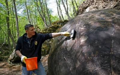 Bila gigantică