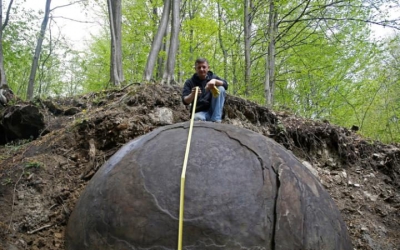 Bila gigantică