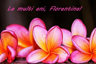 Felicitări FLORII Facebook. Cele mai frumoase poze cu flori pentru cei cu nume de floare