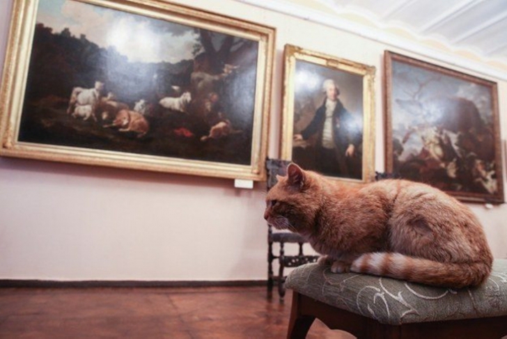 Farsa unui muzeu din Rusia, devenită virală. Au fost obligaţi să îl angajeze pe motanul Maray