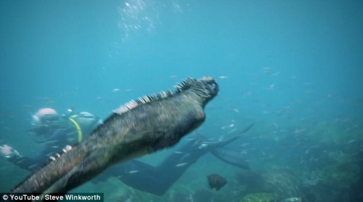 Doi scafandri au coborât în mare. Au dat peste monstrul Godzilla umanoidă. Au tras spaima vieţii