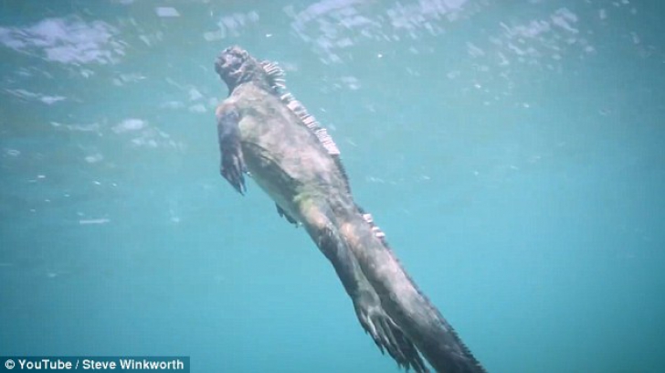 Doi scafandri au coborât în mare. Au dat peste monstrul Godzilla umanoidă. Au tras spaima vieţii