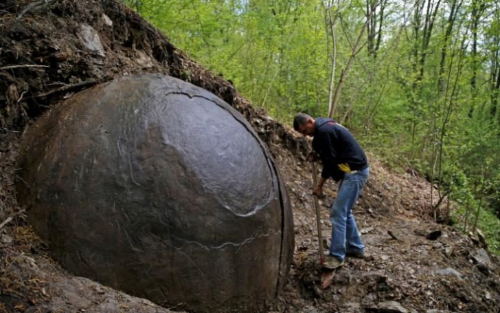 Bila gigantică