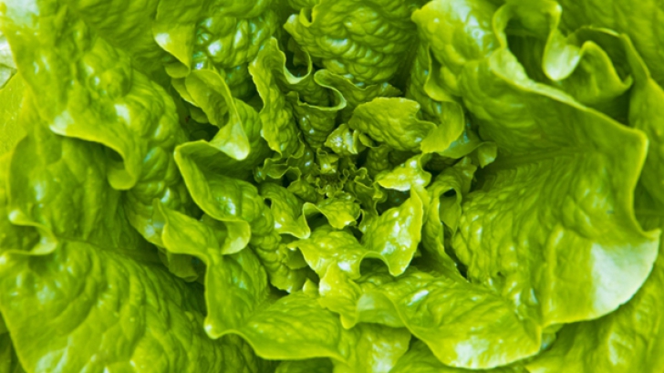 Dieta cu salată verde. Slăbeşti 6 kilograme în 11 zile