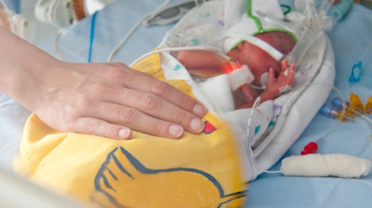 Maternitate &icirc;n şcoală