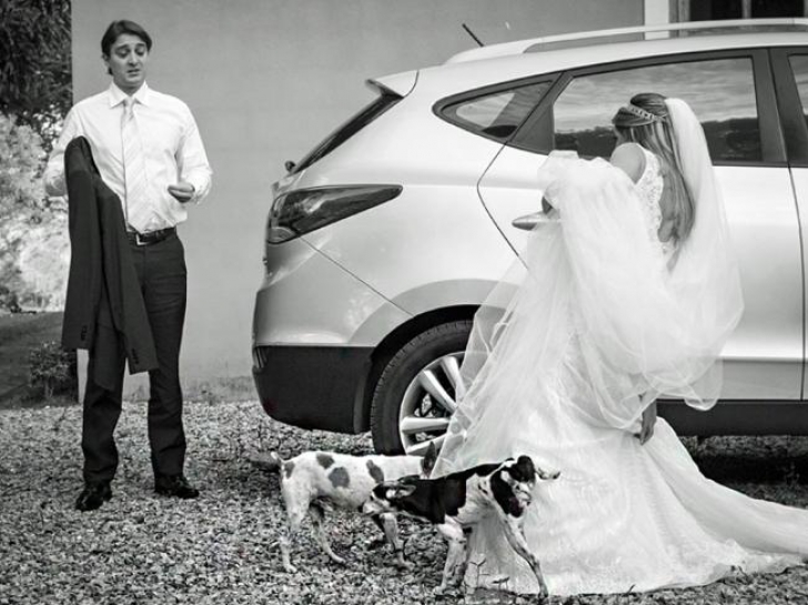 Era mândră de rochia ei de miresă. Când s-a dat jos din maşină, doi câini au apărut în peisaj. HOROR