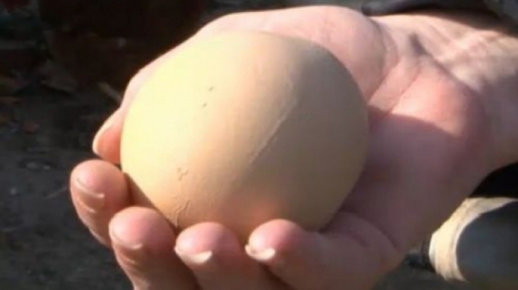 A găsit un ou de găina uriaș în curte. L-a spart și: fabulos. La asta chiar nu se aștepta nimeni