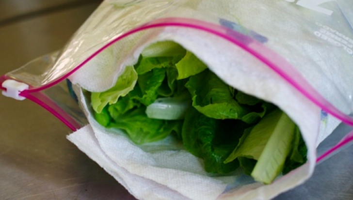 Truc inedit: cum faci ca salata verde să reziste mai mult în frigider, fără să se veştejească