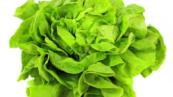 Cât de sănătoasă este, de fapt, salata verde. Acum că ştii, mai mănânci?