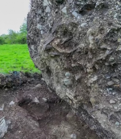 Un v&acirc;nt puternic le-a smuls copacul din rădăcină! C&acirc;nd au văzut ce era &icirc;ngropat acolo, au &icirc;ngheţat!