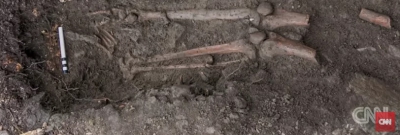 Un v&acirc;nt puternic le-a smuls copacul din rădăcină! C&acirc;nd au văzut ce era &icirc;ngropat acolo, au &icirc;ngheţat!