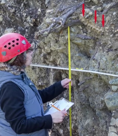 Un v&acirc;nt puternic le-a smuls copacul din rădăcină! C&acirc;nd au văzut ce era &icirc;ngropat acolo, au &icirc;ngheţat!