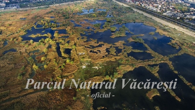 Parcul Natural Văcărești, cel mai mare parc natural urban din Europa, a primit aviz de înfiinţare 