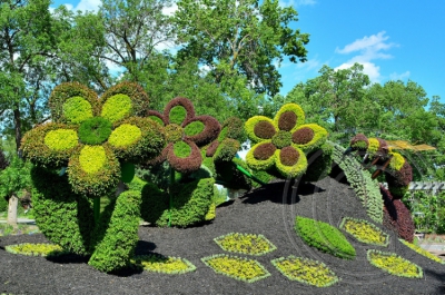 Cea mai spectaculoasă grădină botanică din lume! Imaginile sunt fabuloase