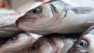 Avertismentul lansat de medici! NU mai m&acirc;ncaţi aceste tipuri de PEŞTE! Conţin mercur și plumb