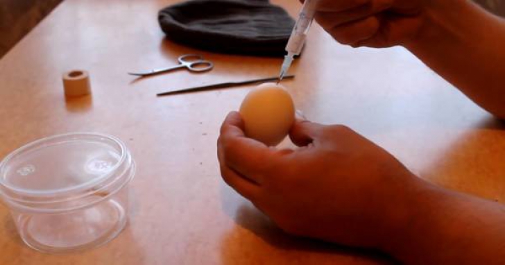 Un bărbat a injectat într-un ou de găină propriul lichid seminal. HORROR! Ce creatură s-a "născut"